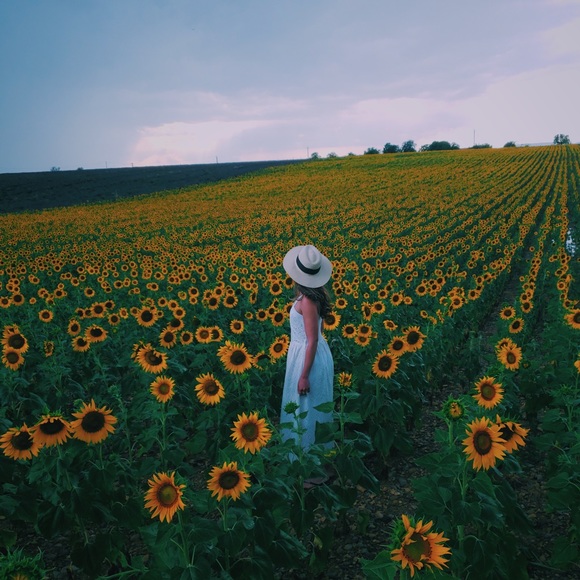 Meet your Posher, Jasmine - Picture 1 of 8